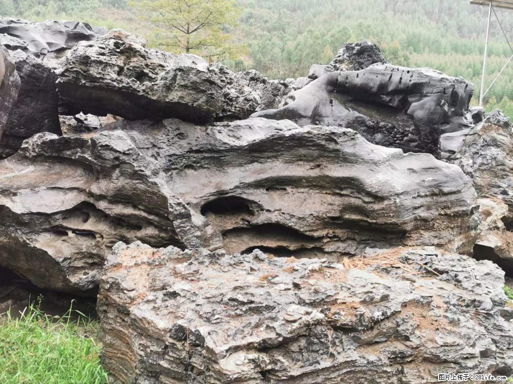 风景石、假山石大量有货，有需要的欢迎联系 - 新手上路 - 珠海生活社区 - 珠海28生活网 zh.28life.com