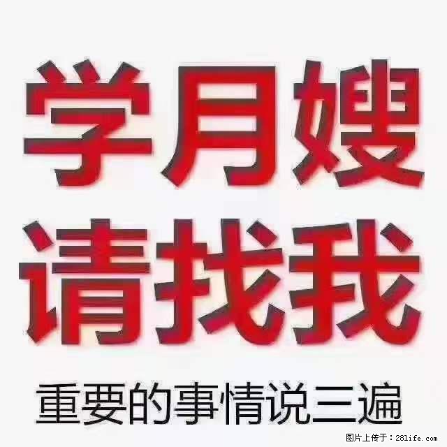 为什么要学习月嫂，育婴师？ - 其他广告 - 广告专区 - 珠海分类信息 - 珠海28生活网 zh.28life.com