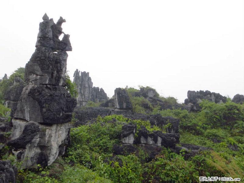 桂林旅游名城景点：灌阳文市石林 - 游山玩水 - 珠海生活社区 - 珠海28生活网 zh.28life.com