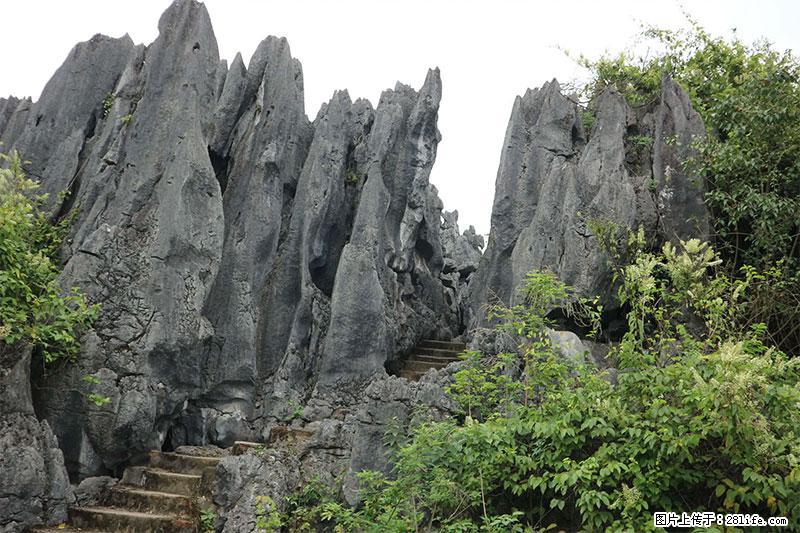 桂林旅游名城景点：灌阳文市石林 - 游山玩水 - 珠海生活社区 - 珠海28生活网 zh.28life.com