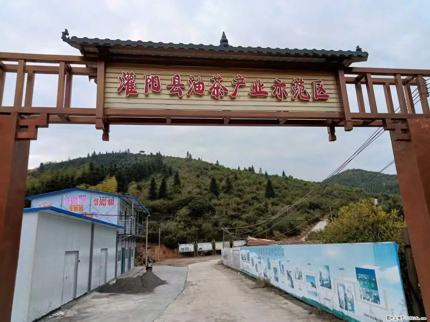 【灌阳县油茶产业示范区】一个有着充实的精神生活的人，对待身外之物自会有一种淡泊的态度 - 美食天地 - 珠海生活社区 - 珠海28生活网 zh.28life.com