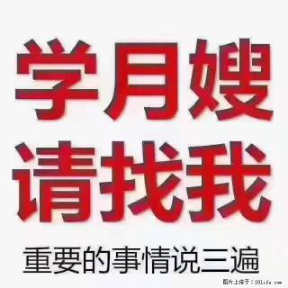 为什么要学习月嫂，育婴师？ - 珠海28生活网 zh.28life.com