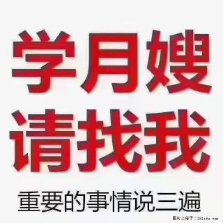 【招聘】月嫂，上海徐汇区 - 珠海28生活网 zh.28life.com