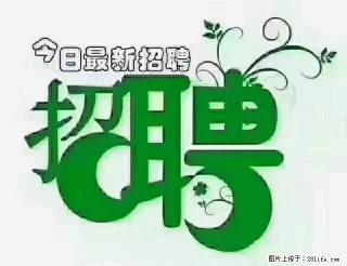 上海青浦区招仓管 - 珠海28生活网 zh.28life.com
