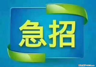 招出纳8000元/月，无证可以，要有相关经验，上海五险一金，包住，包工作餐，做六休一。 - 珠海28生活网 zh.28life.com