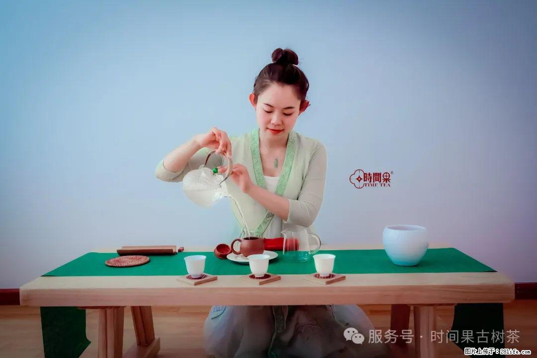 时间果百年古树龙珠普洱生茶 - 购物交流 - 珠海生活社区 - 珠海28生活网 zh.28life.com
