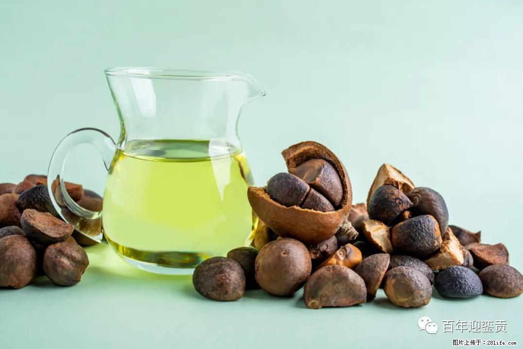 世界没有真相，只有认知，最好的食用油是中国的山茶油！ - 珠海生活资讯 - 珠海28生活网 zh.28life.com