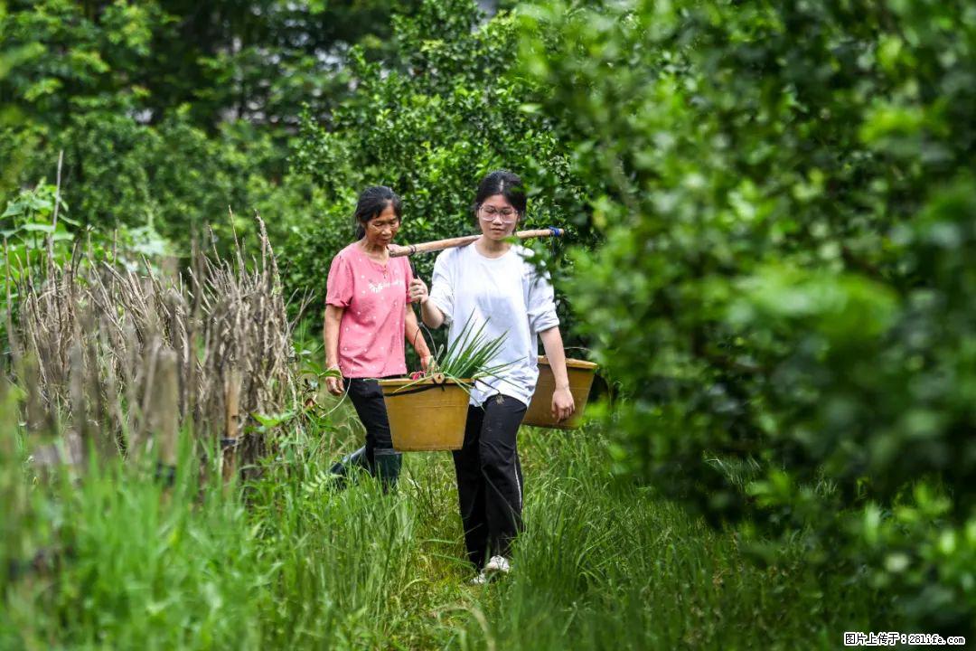 全网追的“扁担女孩”,找了一份暑假工,时薪12元 - 珠海生活资讯 - 珠海28生活网 zh.28life.com