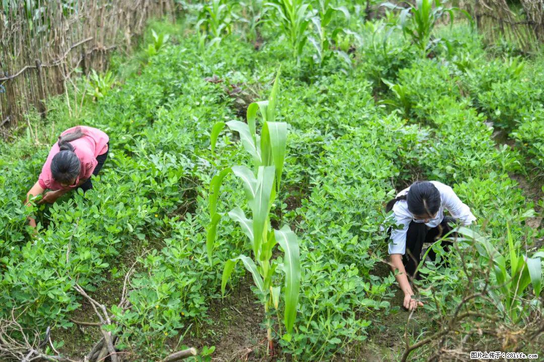 全网追的“扁担女孩”,找了一份暑假工,时薪12元 - 珠海生活资讯 - 珠海28生活网 zh.28life.com