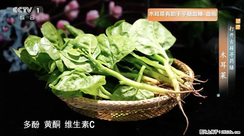比牛奶补钙还厉害！凉血解毒、稳血糖...这菜冬天必吃，很多人却当草 - 珠海生活资讯 - 珠海28生活网 zh.28life.com