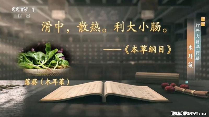 比牛奶补钙还厉害！凉血解毒、稳血糖...这菜冬天必吃，很多人却当草 - 珠海生活资讯 - 珠海28生活网 zh.28life.com