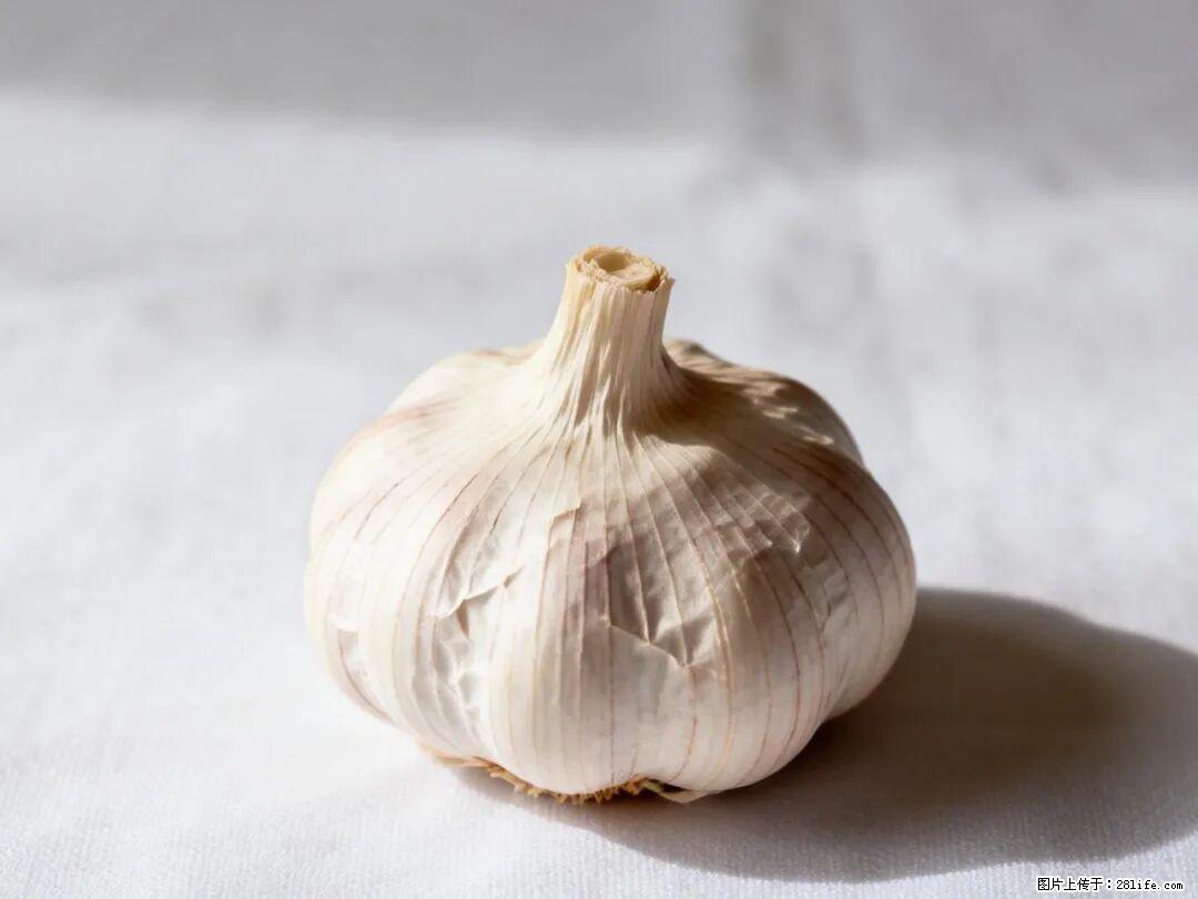 关于大蒜，除了“天然抗生素”，这4个谣言更该警惕! - 珠海生活资讯 - 珠海28生活网 zh.28life.com