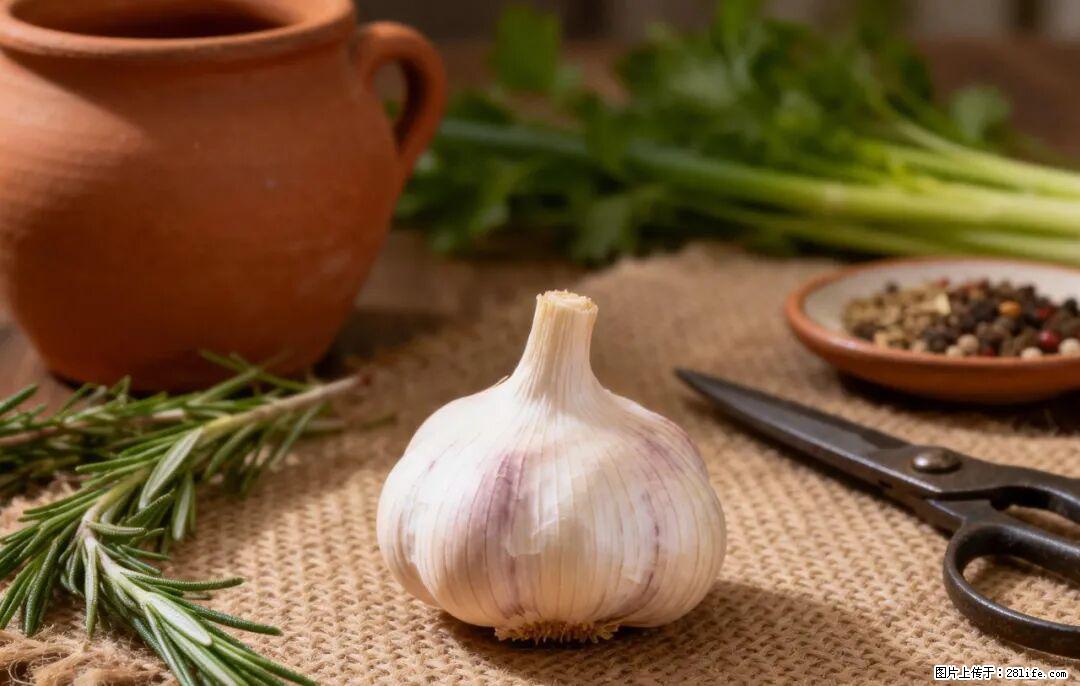 关于大蒜，除了“天然抗生素”，这4个谣言更该警惕! - 珠海生活资讯 - 珠海28生活网 zh.28life.com