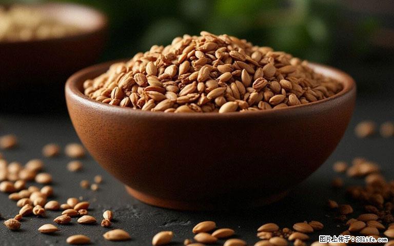 这三苦是三高“克星”，心血管干净不易堵！每天吃一点，指标慢慢降下来~ - 珠海生活资讯 - 珠海28生活网 zh.28life.com