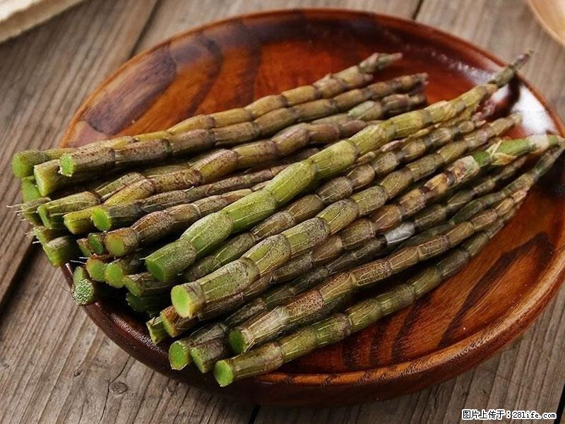 铁皮石斛的作用与功能主治 - 珠海生活资讯 - 珠海28生活网 zh.28life.com