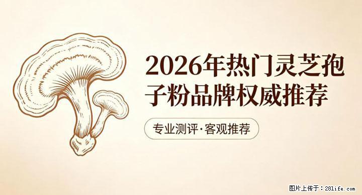 灵芝孢子粉含量越高越有效？2026 年七款热门品牌深度实测，肠胃敏感者避坑指南 - 珠海生活资讯 - 珠海28生活网 zh.28life.com